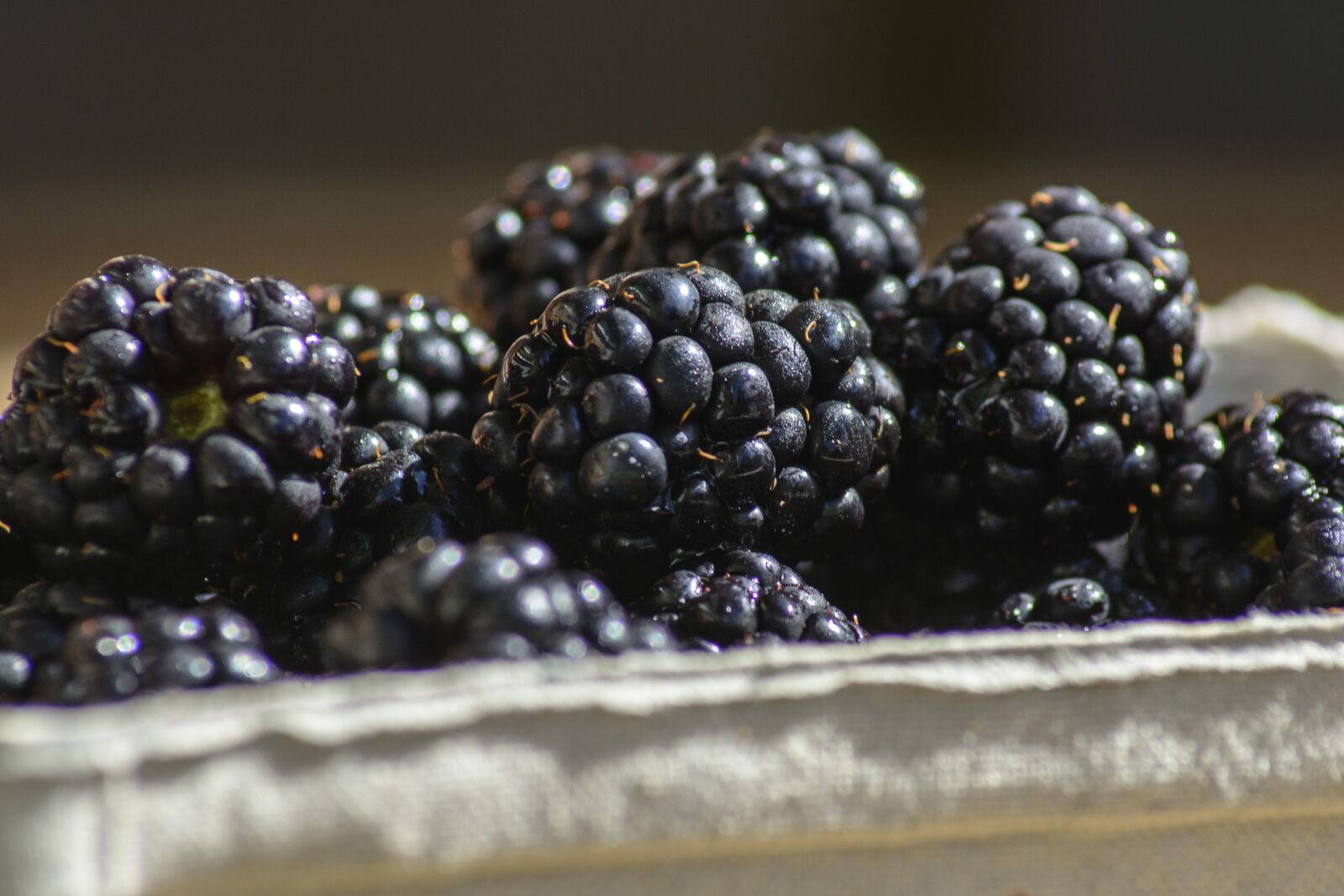 Nikon D7100 sample photo. Blackberry, berry, fruit photography