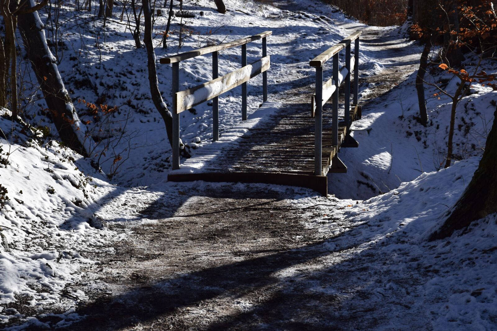 Nikon D5300 sample photo. Winter, bridge, snow photography
