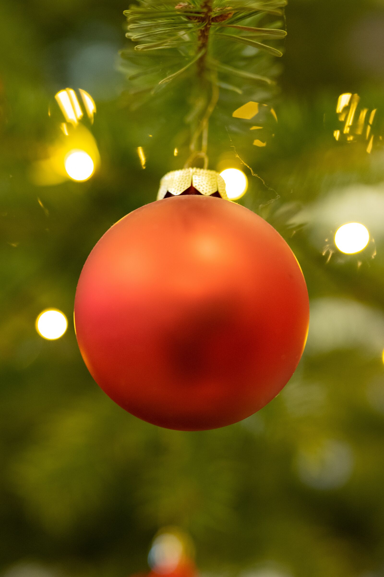 Sigma 50mm F1.4 DG HSM Art sample photo. Rote weihnachtskugel, weihnachten, bokeh photography