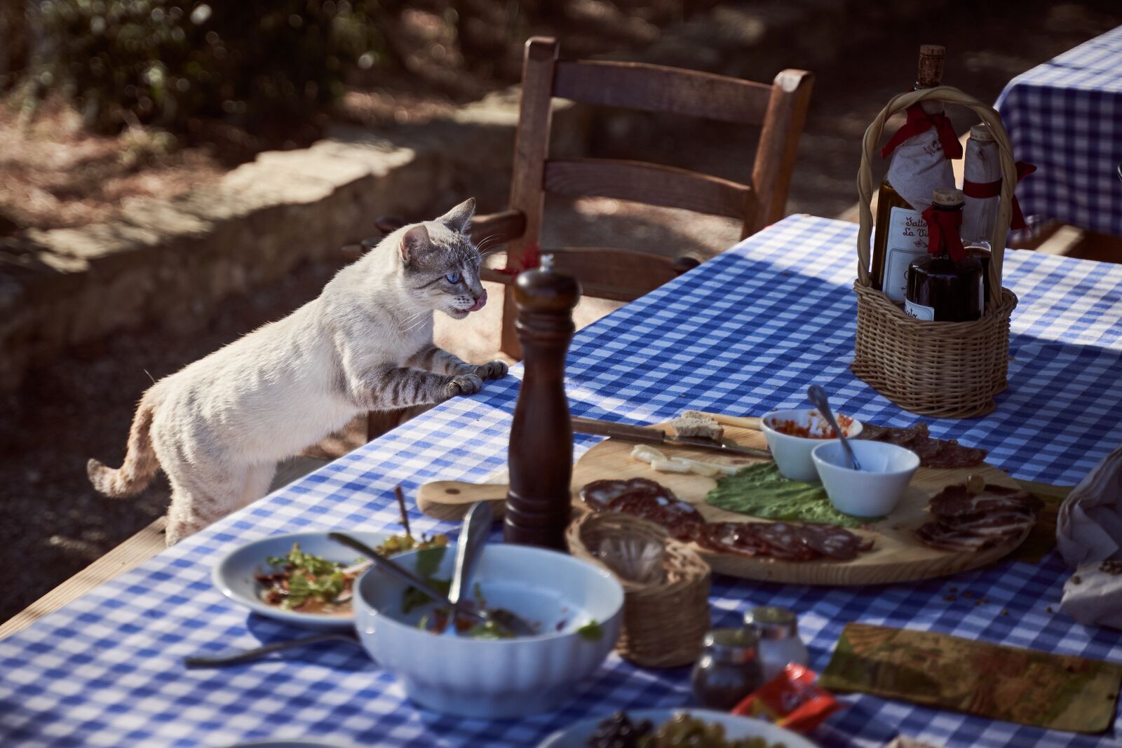 Sony a7 III + Tamron 28-75mm F2.8 Di III RXD sample photo. Cat, eat, table photography