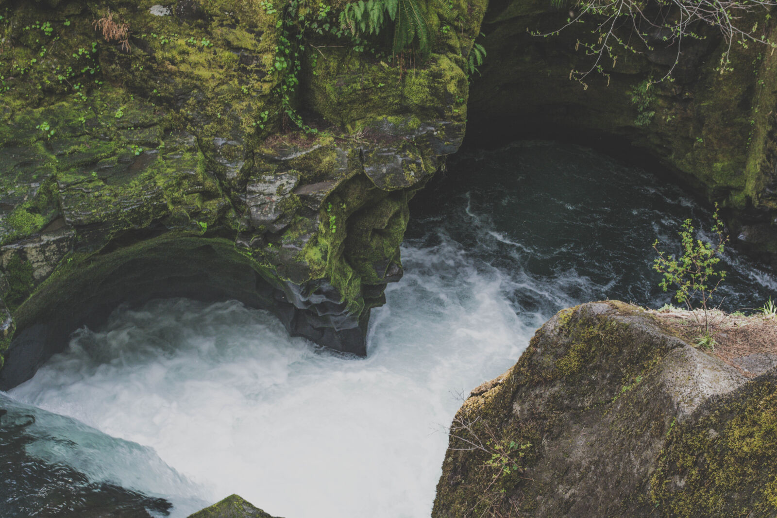 Nikon D5200 sample photo. Branches, cascade, creek, daylight photography