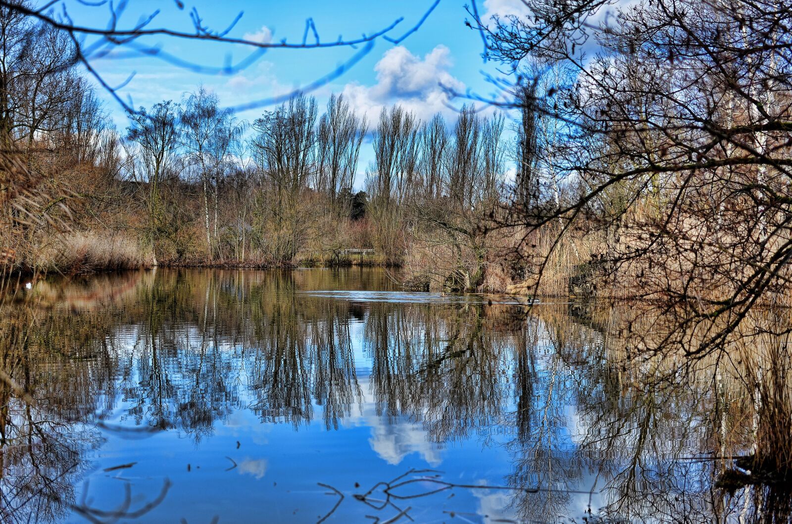 Nikon D7000 sample photo. Basel, green 80 park, reflections photography