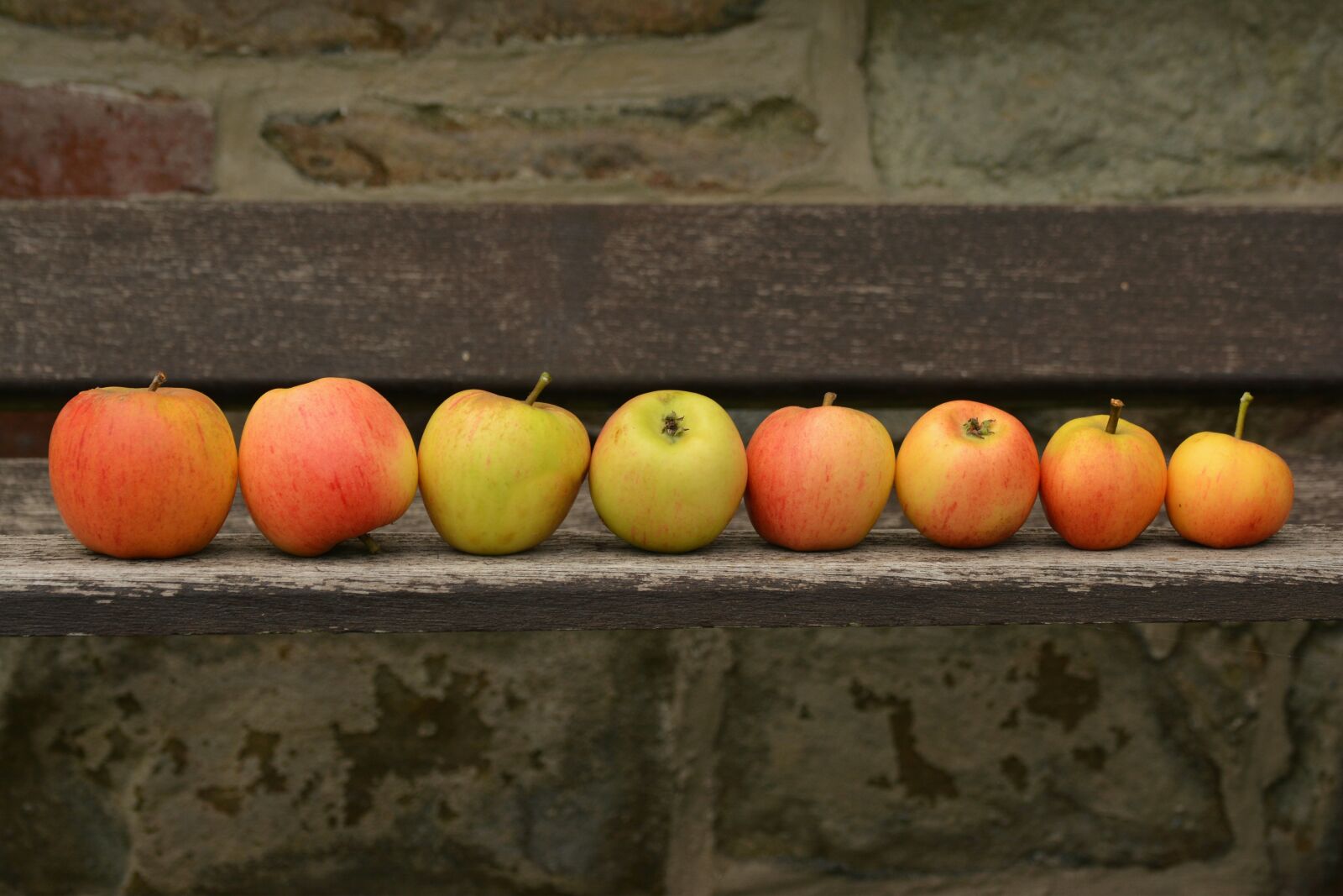 Nikon D5200 sample photo. Apple, goldparmäne, fruit photography