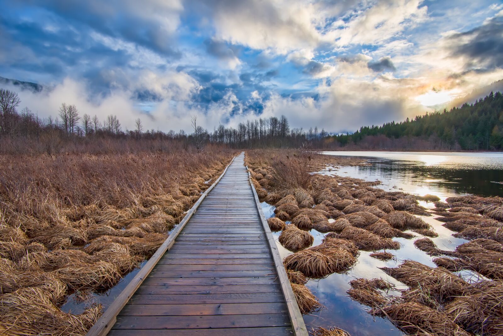 Nikon D600 sample photo. Beautiful, bright, british columbia photography