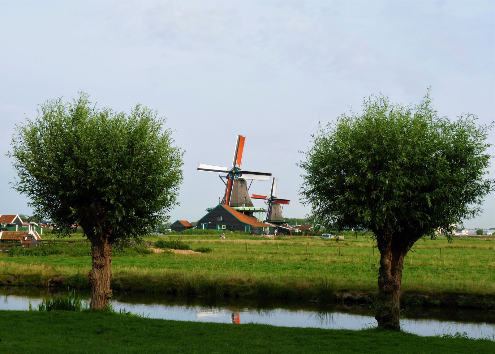 Panasonic Lumix DMC-FZ28 sample photo. Netherlands, trees, channel photography