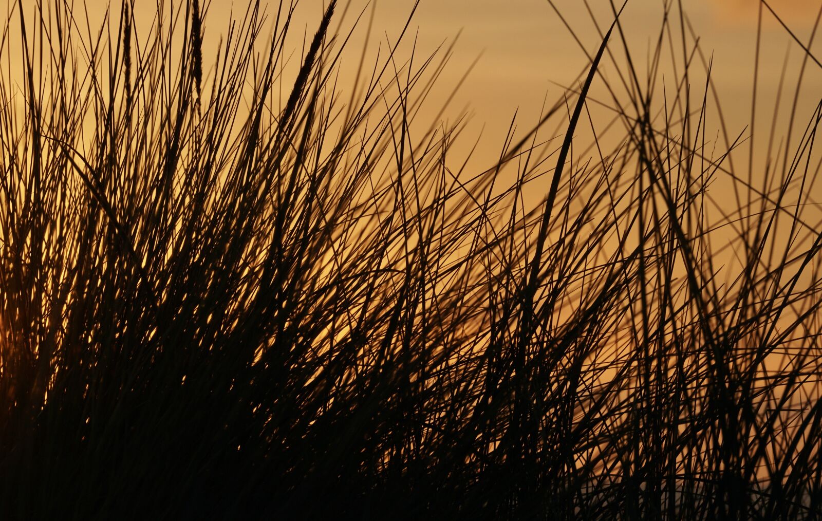 Sony DT 55-300mm F4.5-5.6 SAM sample photo. Abendstimmung, afterglow, sunset photography