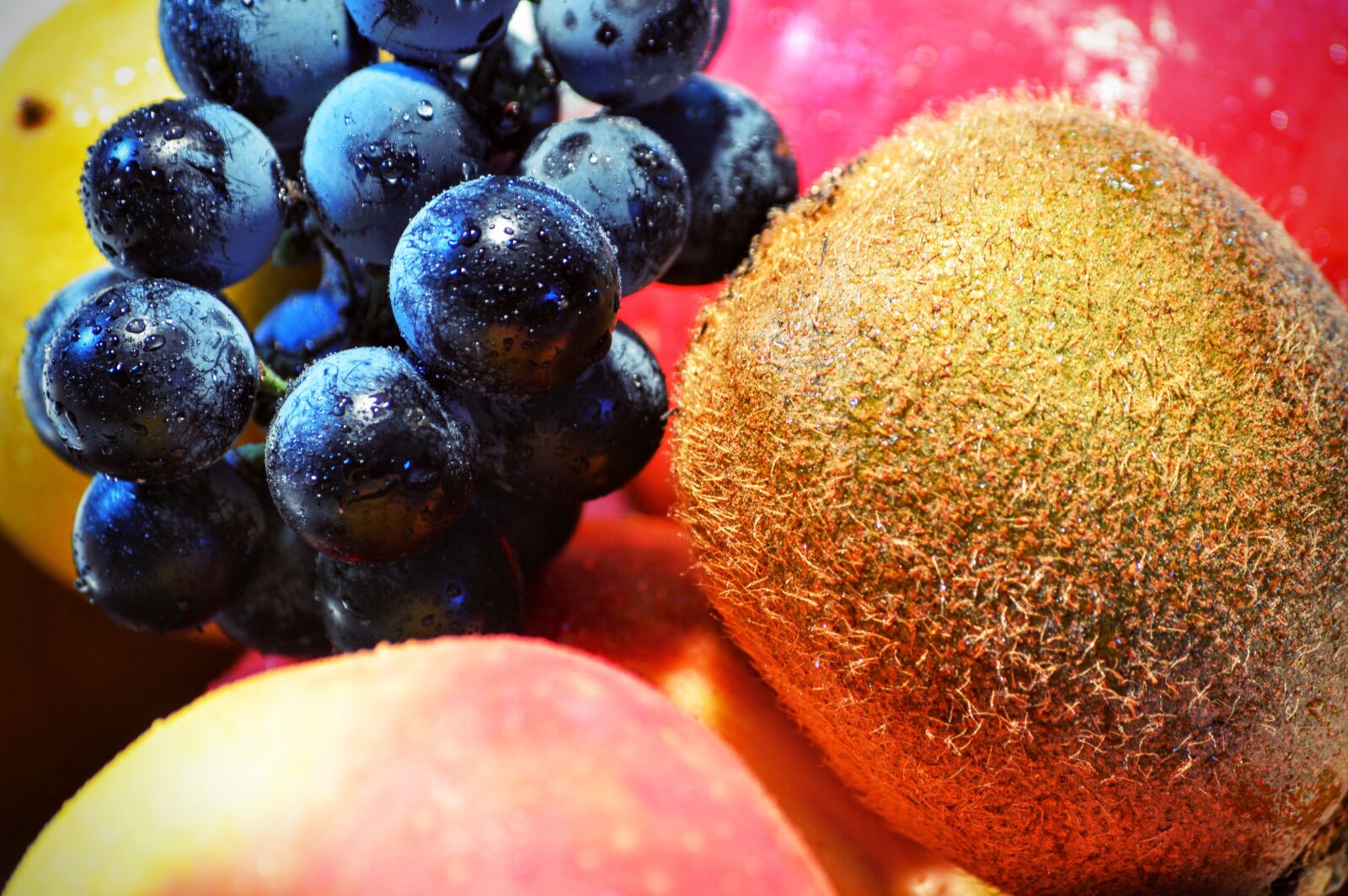 Nikon D3200 sample photo. Grape, kiwi, fruit photography