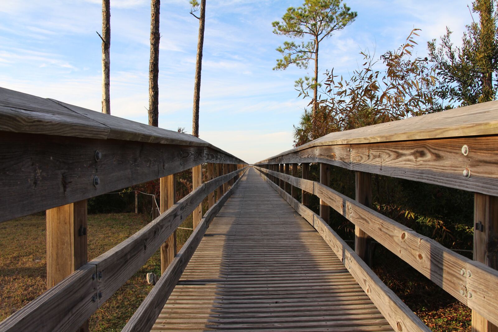 Canon EOS 650D (EOS Rebel T4i / EOS Kiss X6i) sample photo. Beach, trees, boardwalk photography