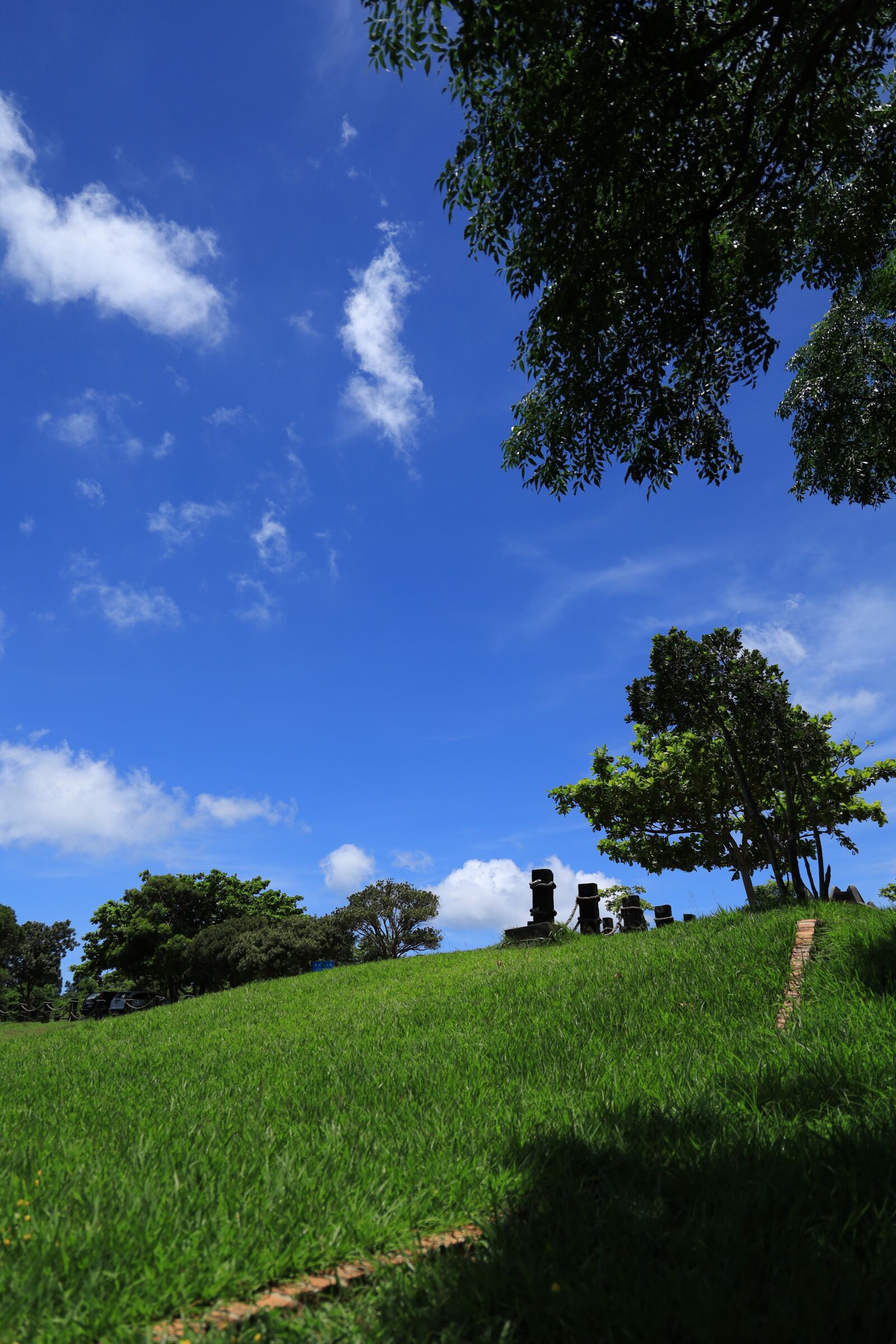 Canon EOS RP sample photo. Blue, sky, grass photography