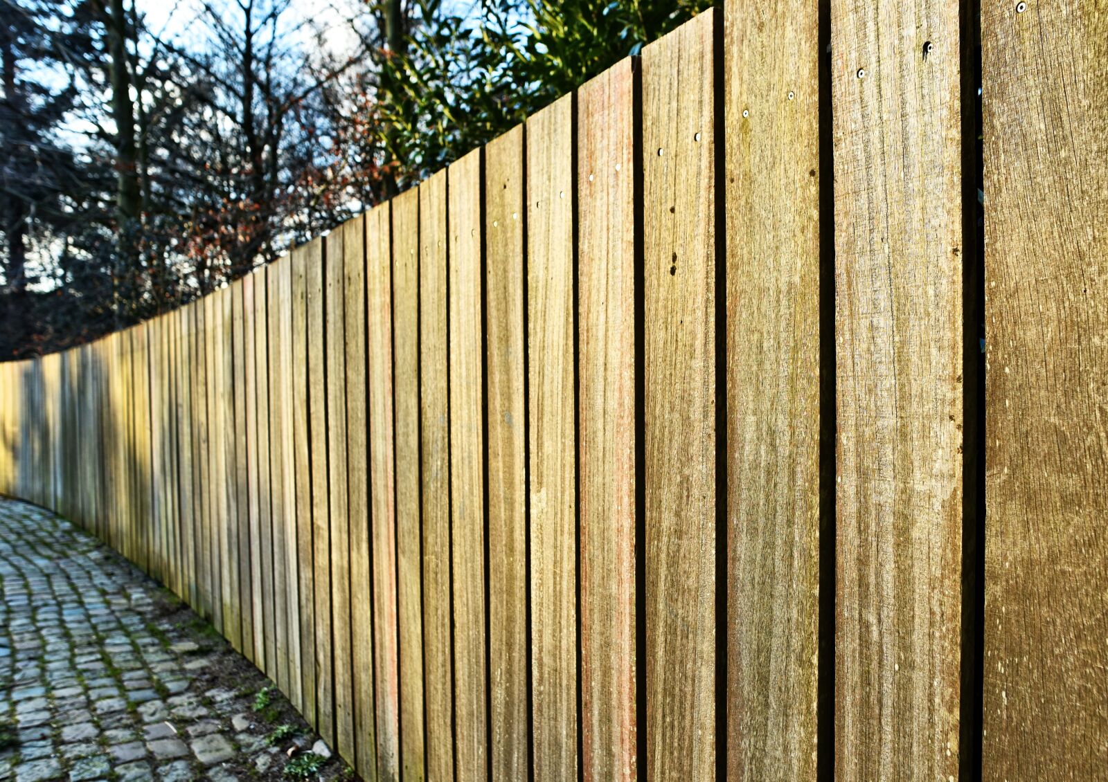 Nikon D750 sample photo. Fence, wood, wooden fence photography