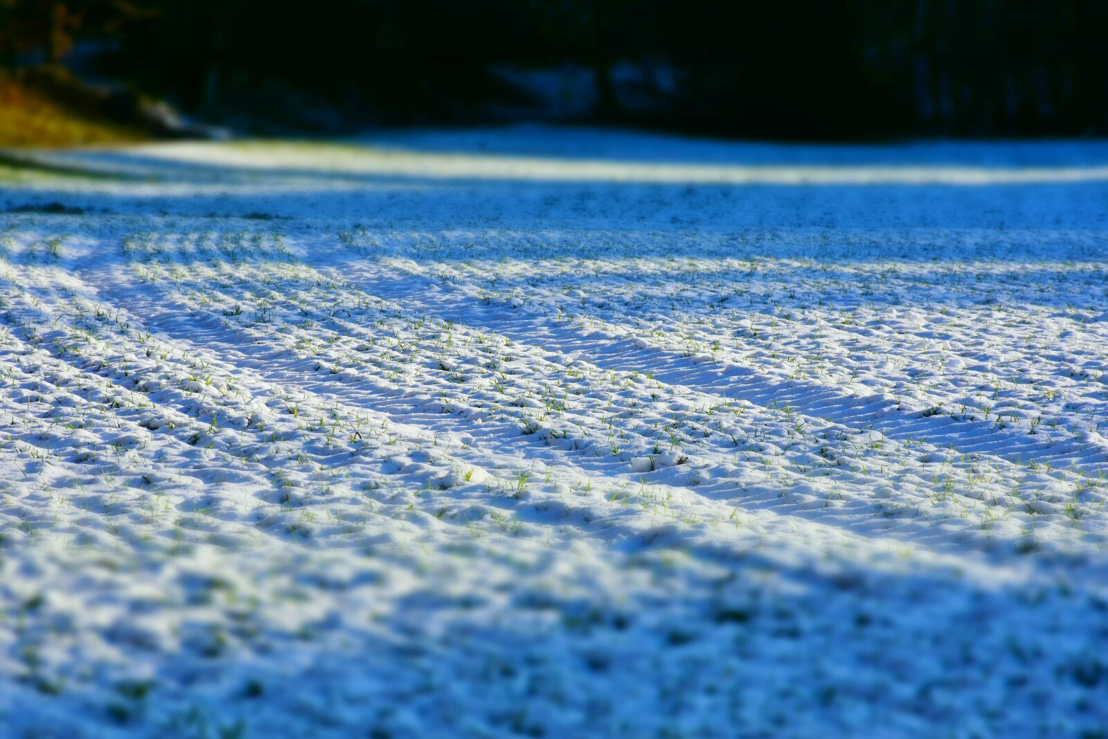 Nikon D7200 sample photo. Nature, arable, winter photography