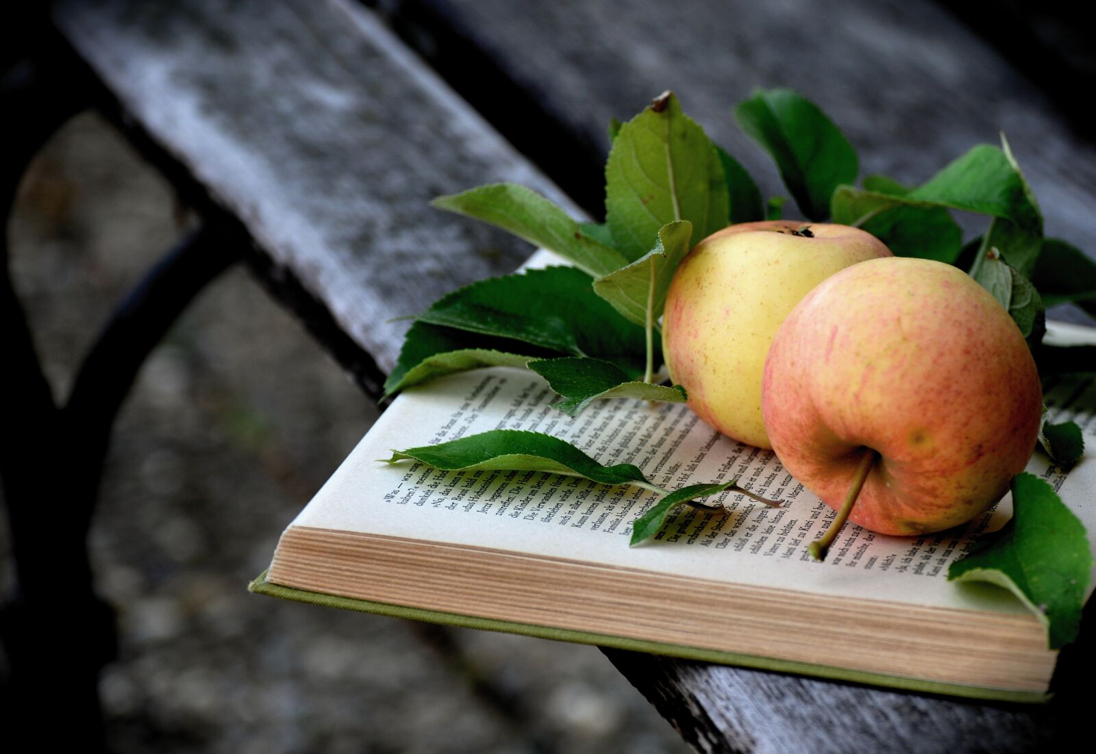 Nikon D610 sample photo. Apple, bank, book photography