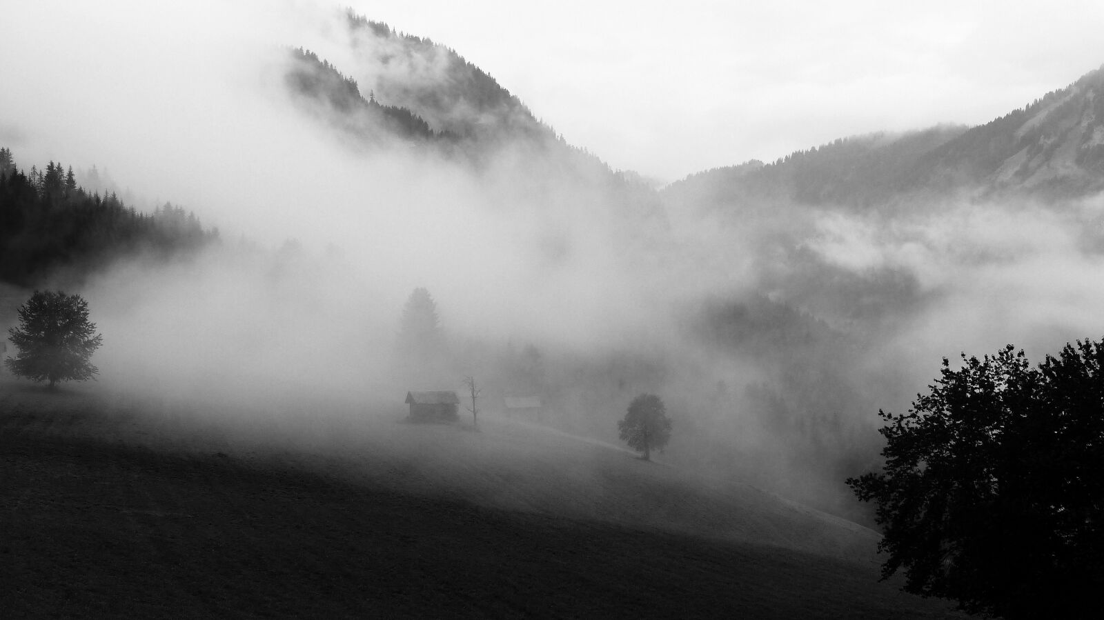 Panasonic Lumix DMC-FZ200 sample photo. Nature, landscape, misty photography