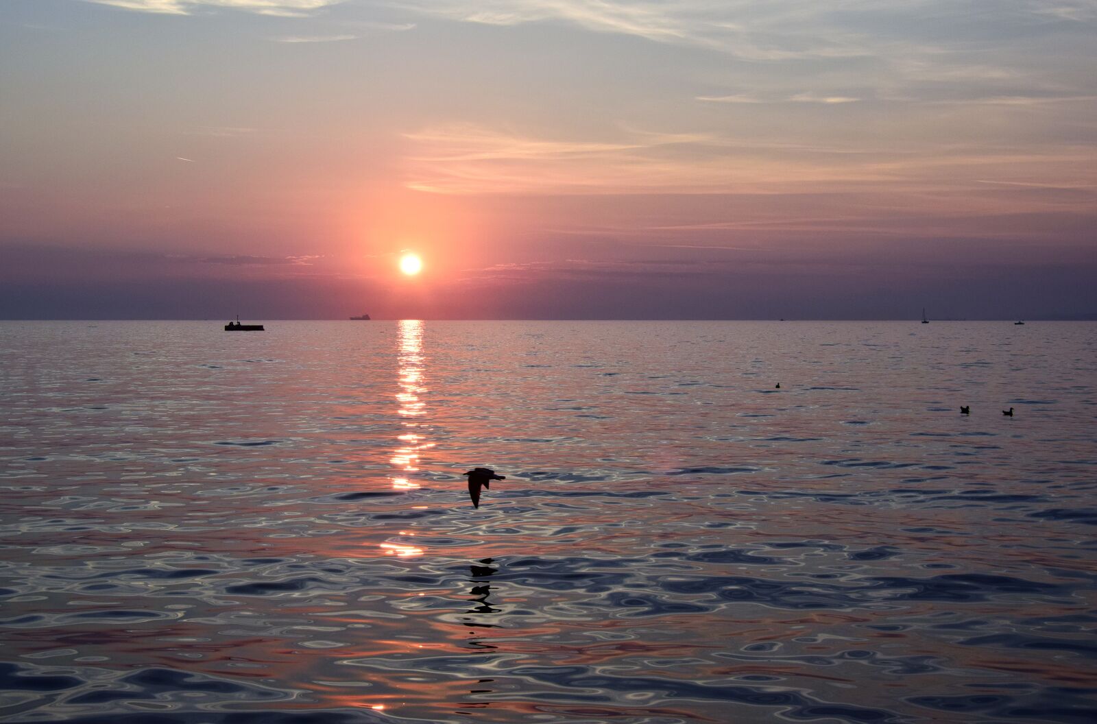 Nikon D3300 sample photo. Sunset, trieste, sea photography