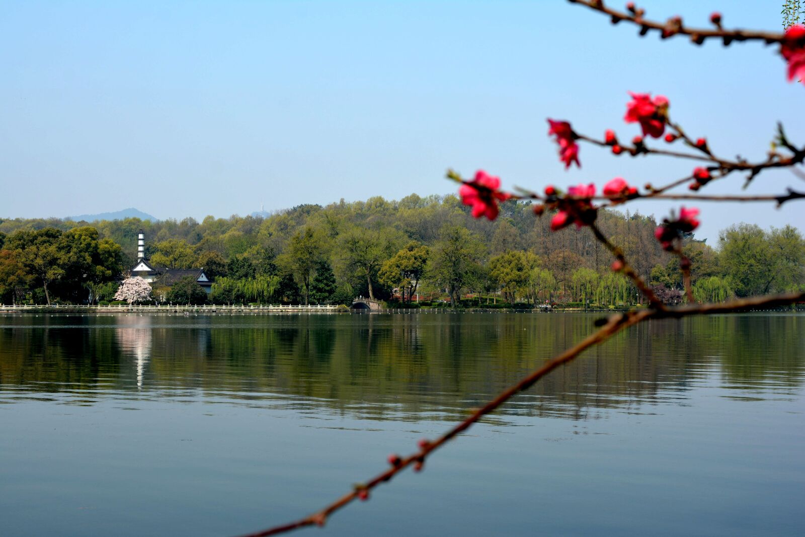 Nikon D7100 sample photo. Spring, west lake, peach photography