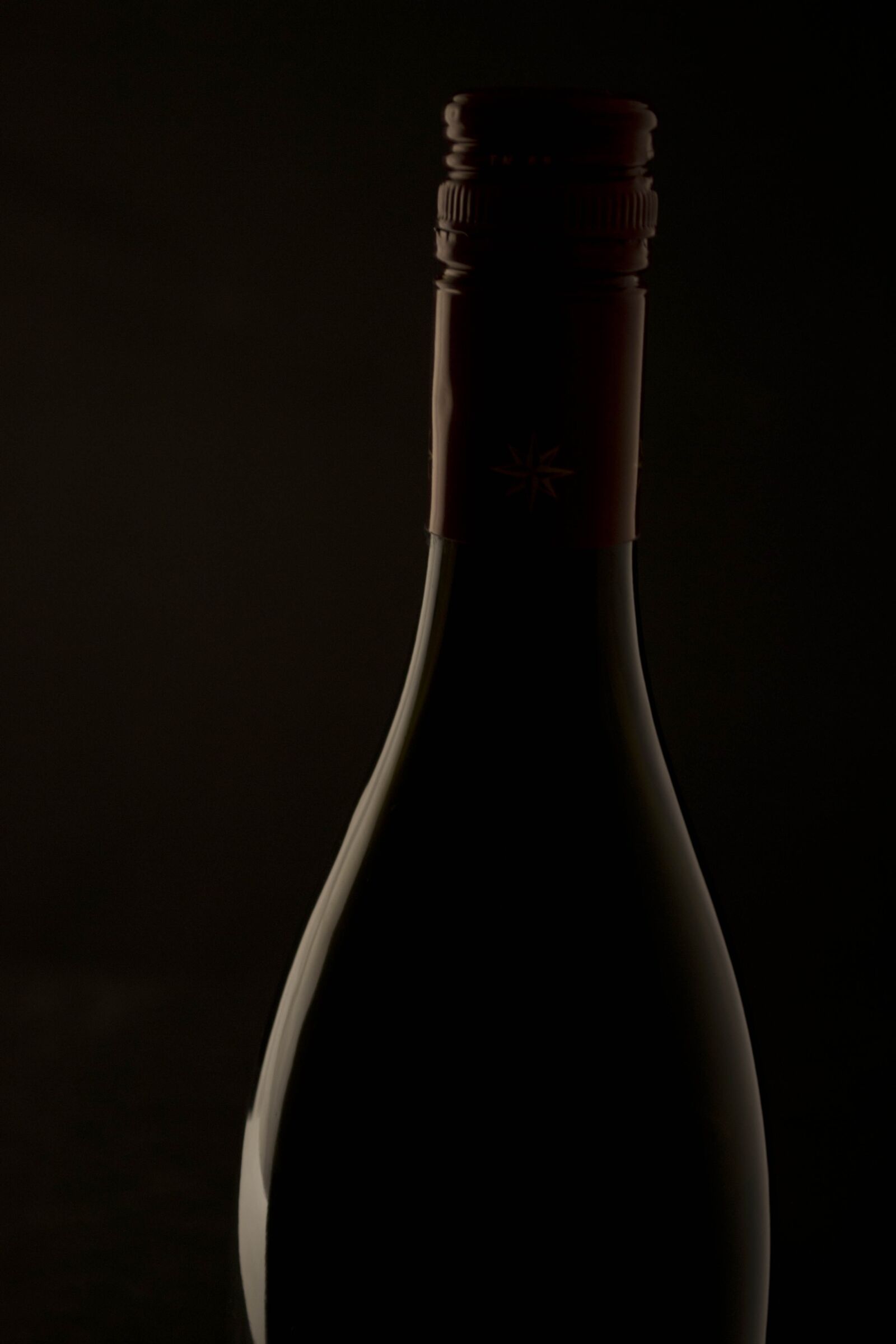 Nikon D3100 sample photo. Wine, wine bottle, bottle photography