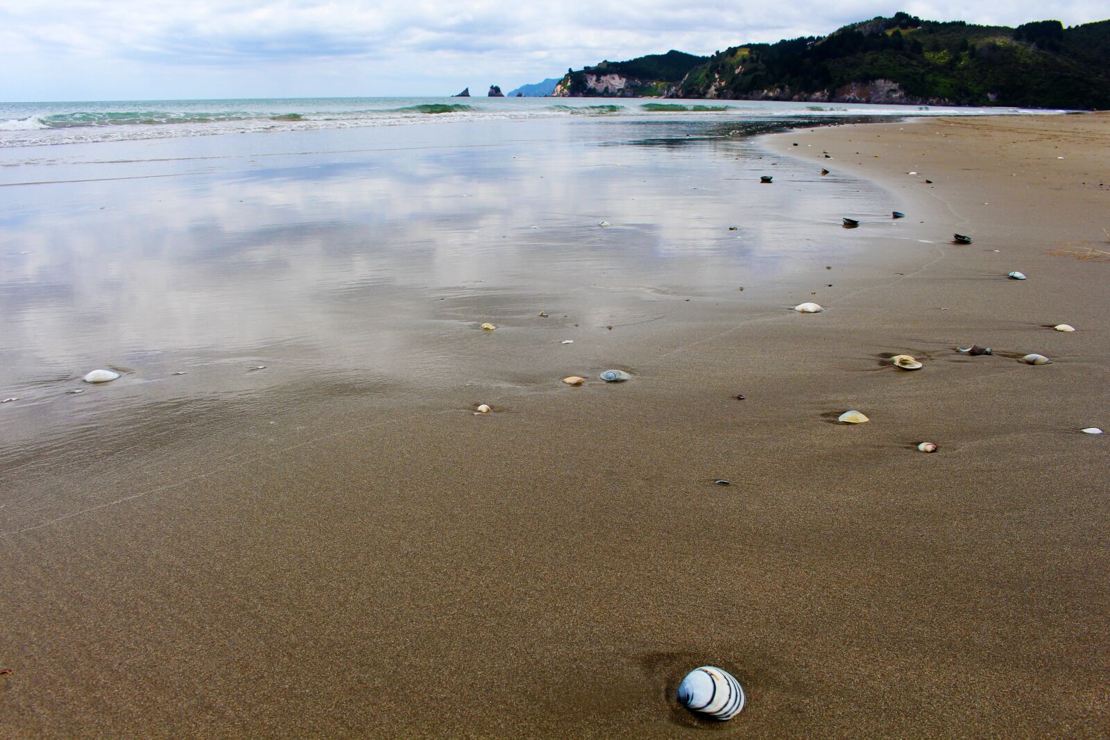 Canon EF-S 18-55mm F3.5-5.6 IS STM sample photo. Mirroring, beach, new zealand photography