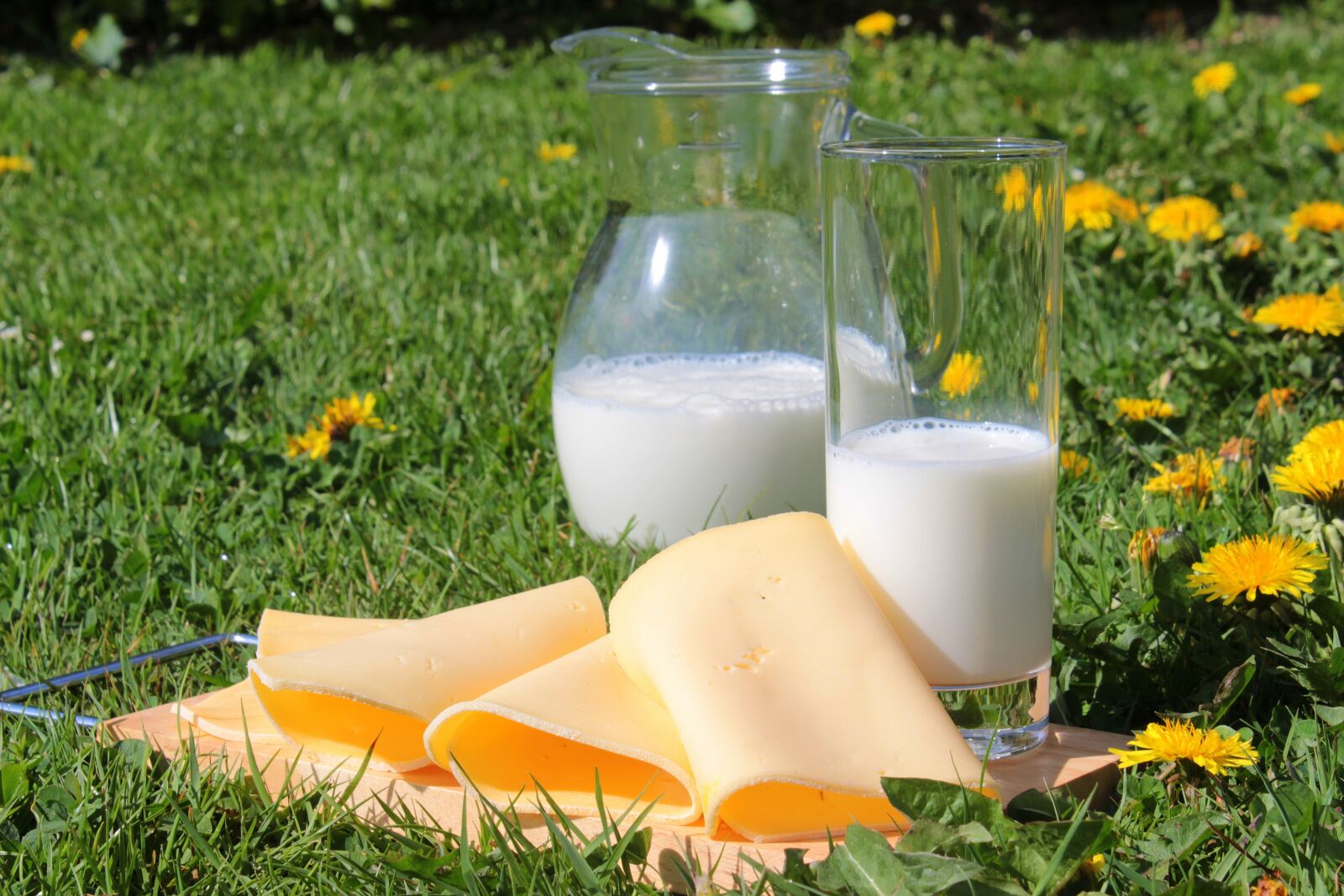 Canon EOS 650D (EOS Rebel T4i / EOS Kiss X6i) sample photo. Milk, cheese, cheese slices photography
