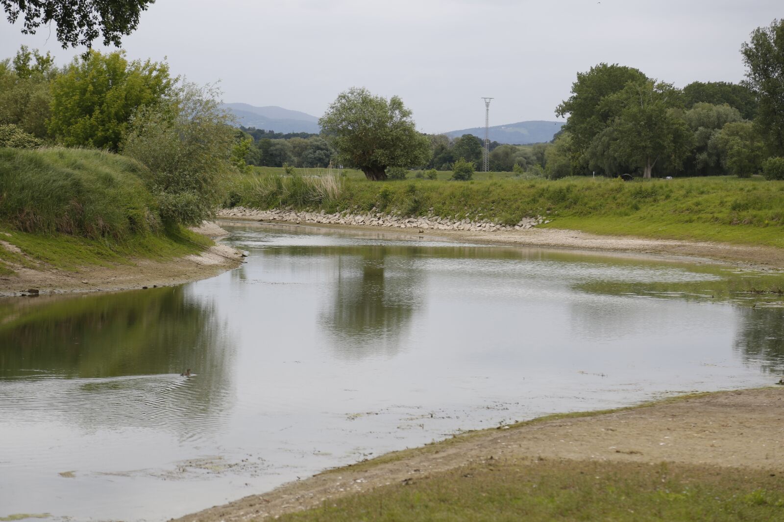 Canon EF 24-105mm F4L IS USM sample photo. Donauauen, land, water photography