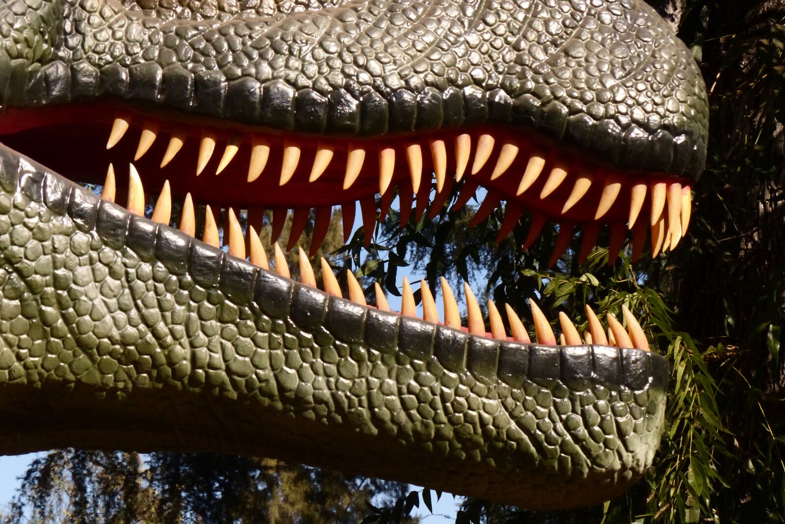 Panasonic Lumix DMC-FZ200 sample photo. Dinosaur teeth, teeth, reptile photography