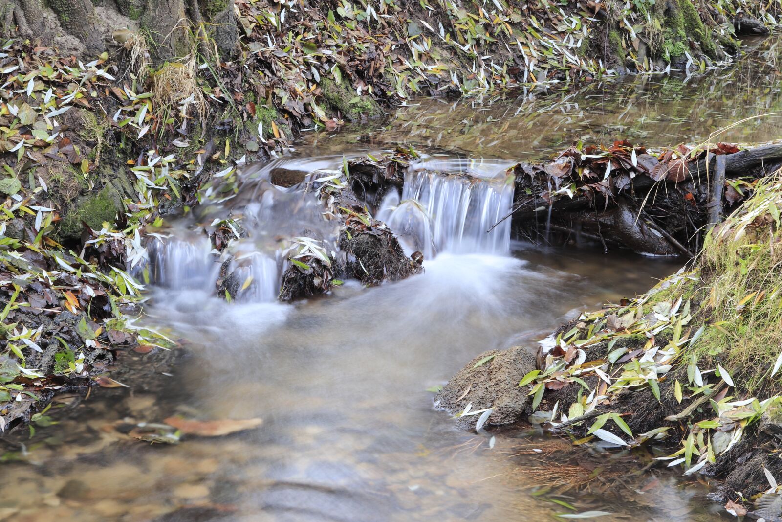 Canon EOS 77D (EOS 9000D / EOS 770D) + Canon EF 24-105mm F4L IS USM sample photo. Water, fluent, river photography