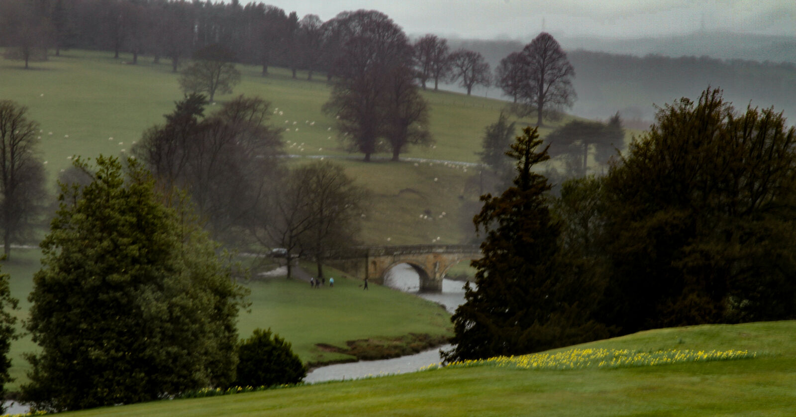 Canon EF 24-105mm F4L IS USM sample photo. Bridge, chatsworth, daffodils, derbyshire photography