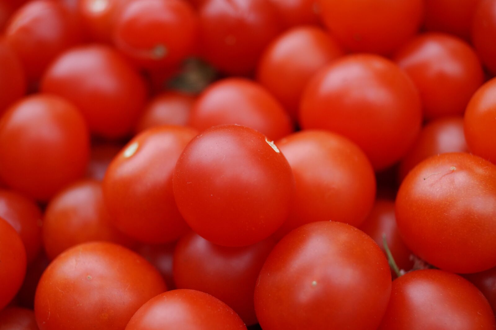 Sony DT 18-55mm F3.5-5.6 SAM II sample photo. Tomatoes, background, fresh photography