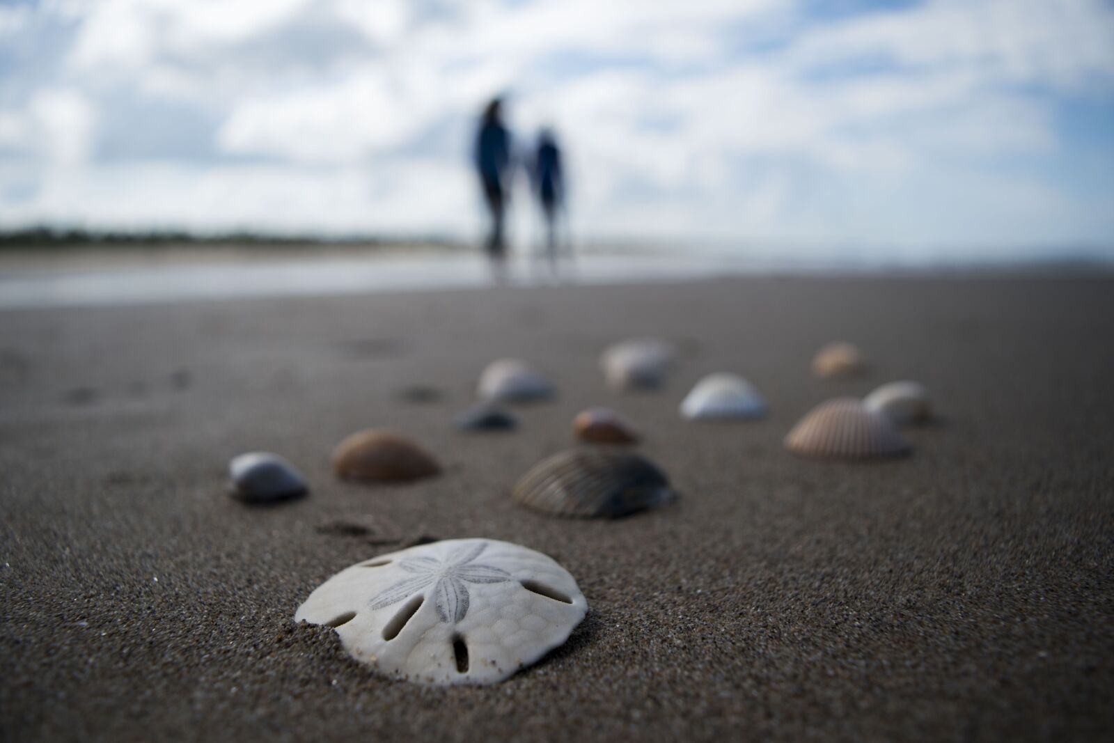 Nikon D5500 sample photo. Beach, sand, costa photography
