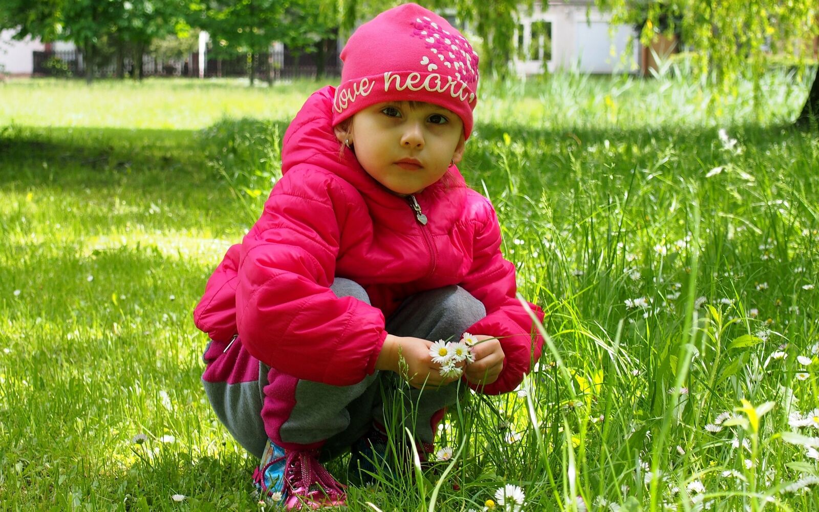 Olympus PEN E-PL6 sample photo. Girl, flower, spring photography