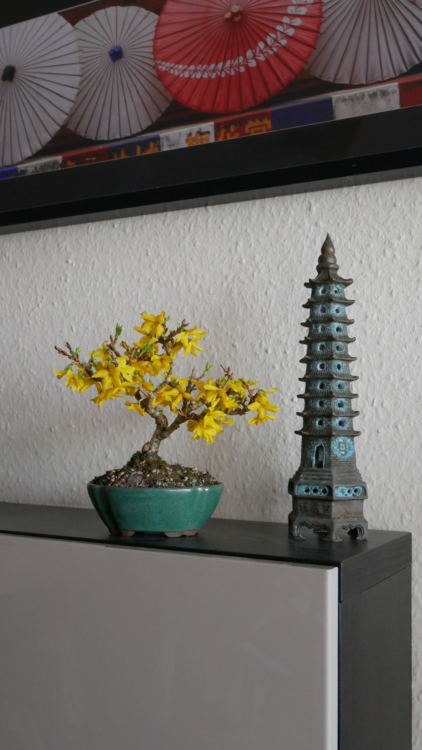 Panasonic Lumix DMC-GX85 (Lumix DMC-GX80 / Lumix DMC-GX7 Mark II) sample photo. Bonsai, blossom, bloom photography