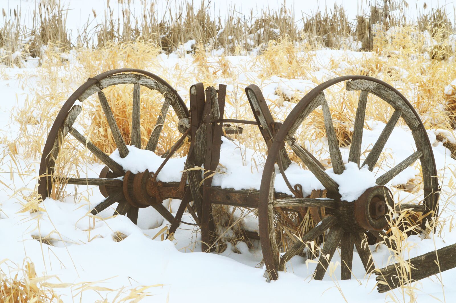Nikon D3200 sample photo. Wagon wheels, rustic, antique photography