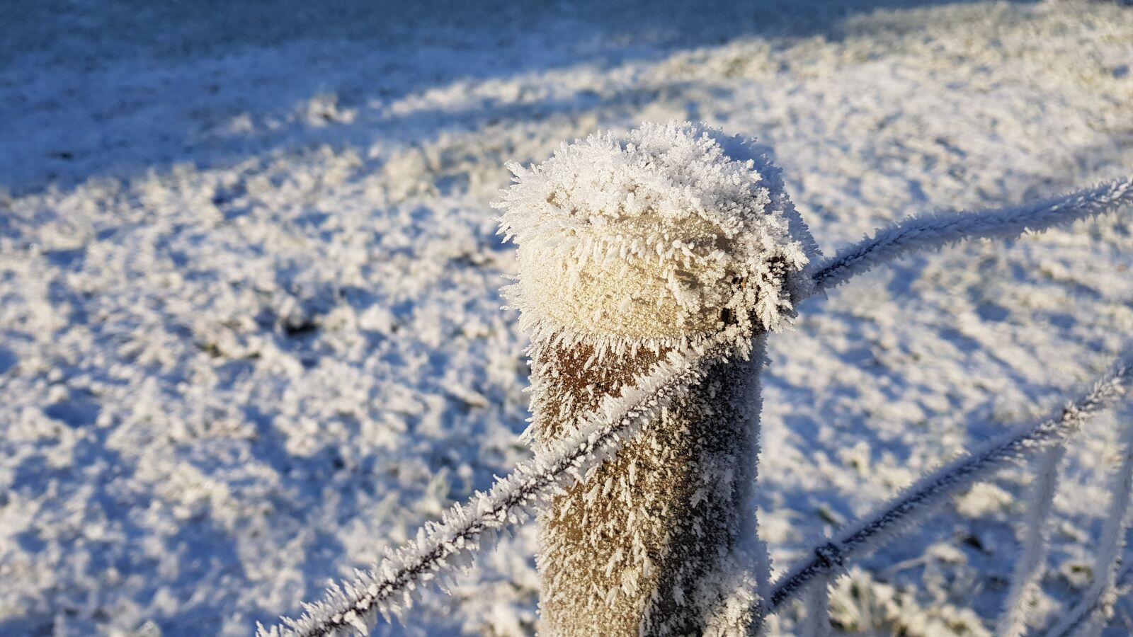 Samsung Galaxy S8 sample photo. Winter, snow, eiskristalle photography
