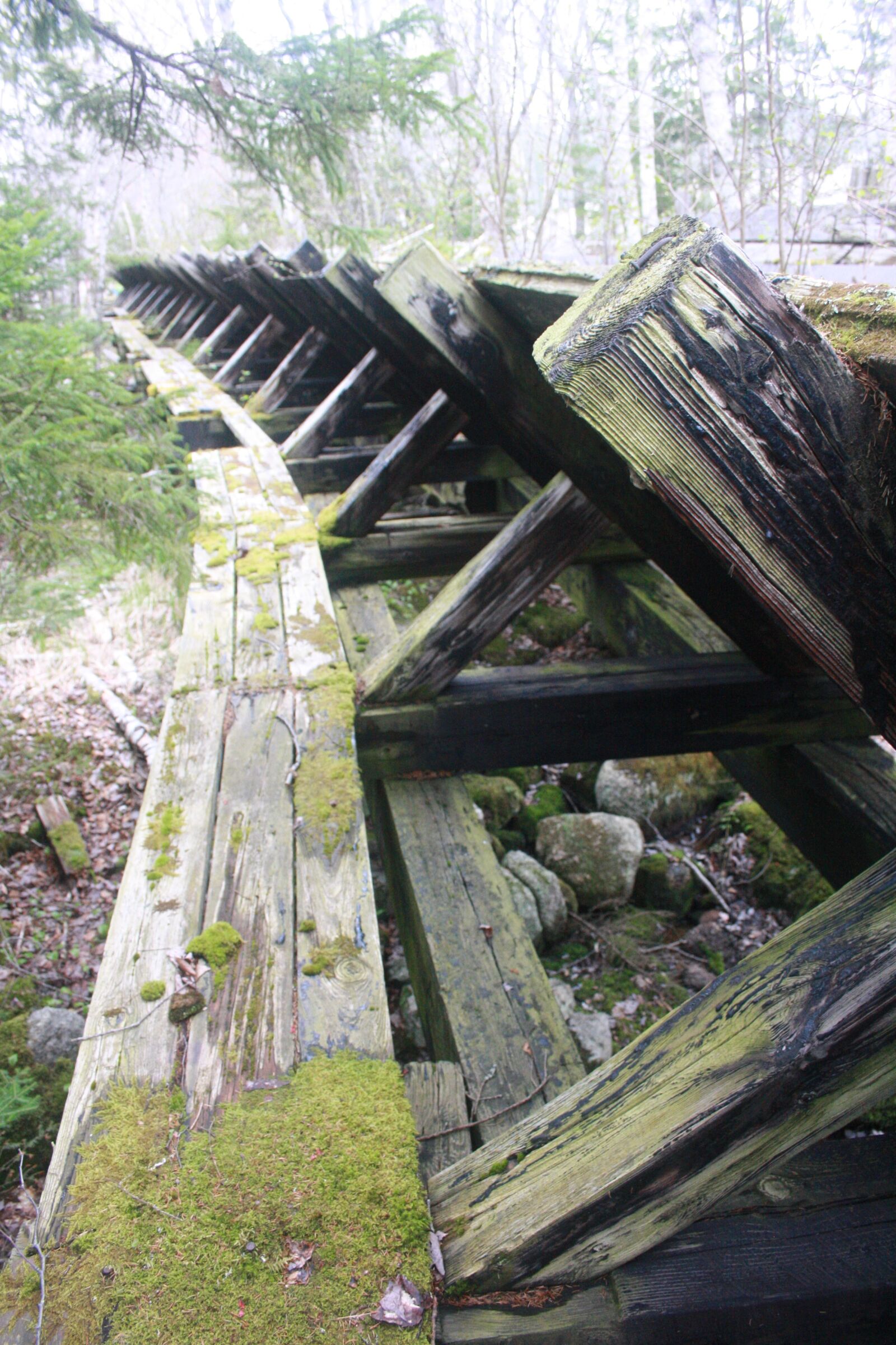 Canon EOS 1000D (EOS Digital Rebel XS / EOS Kiss F) sample photo. Vintage, logging, old photography