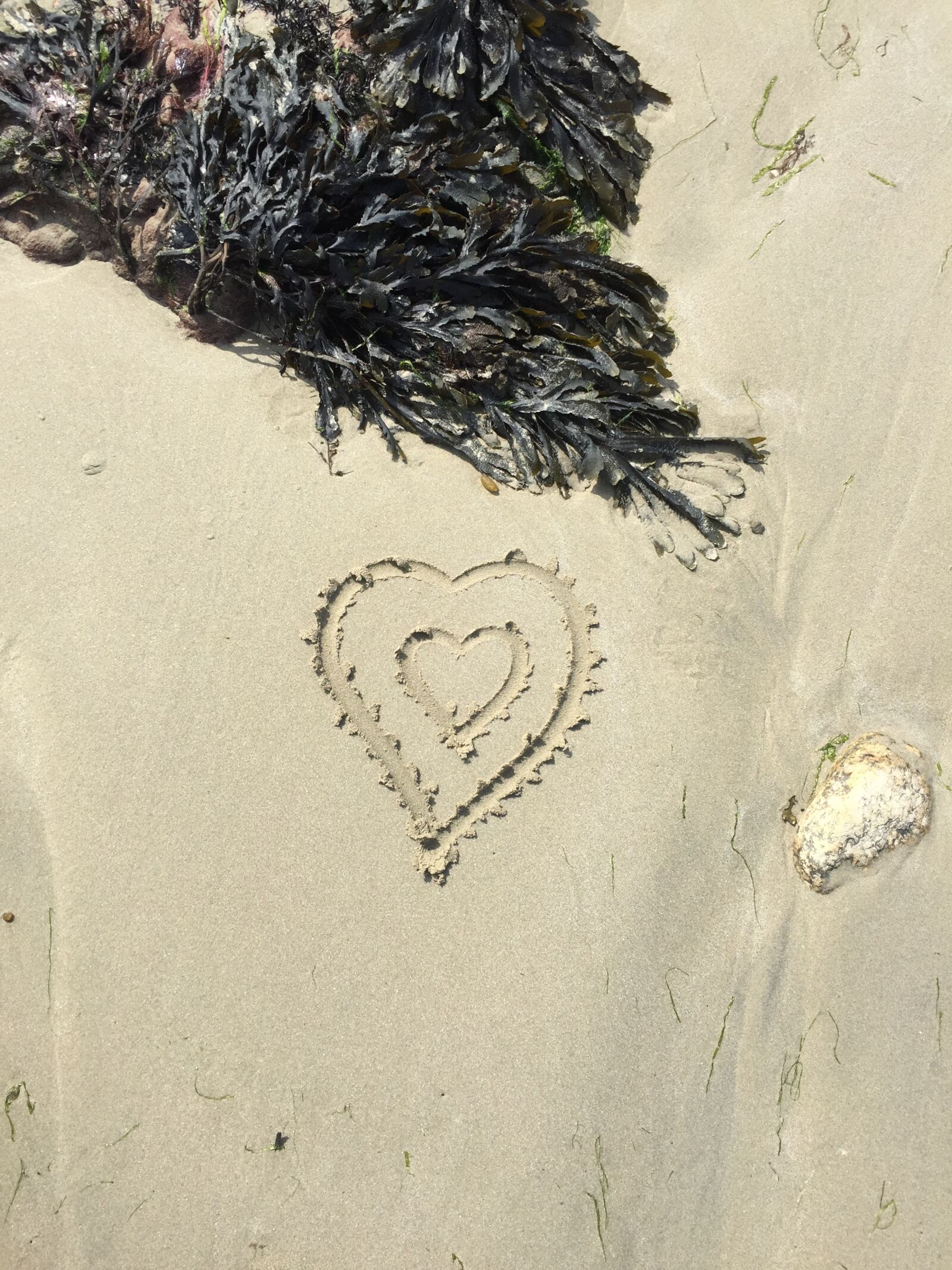 Apple iPhone 6 sample photo. Beach, love, love, heart photography