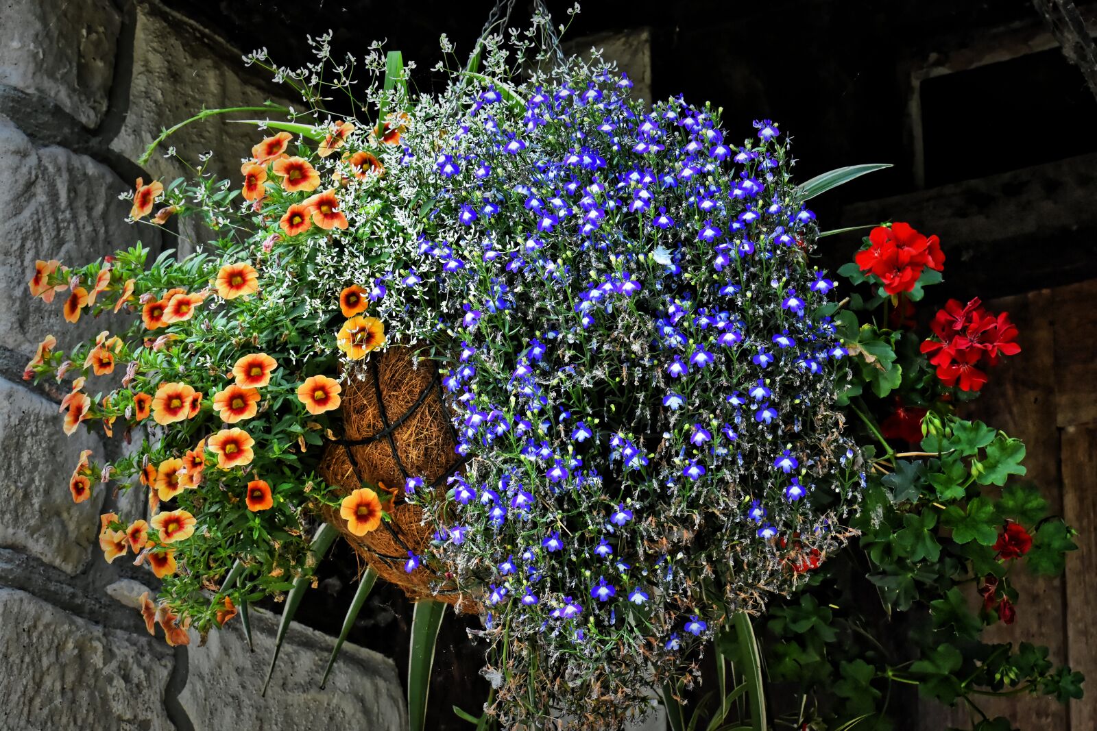 Nikon D7200 sample photo. Hanging basket, flowers, summer photography