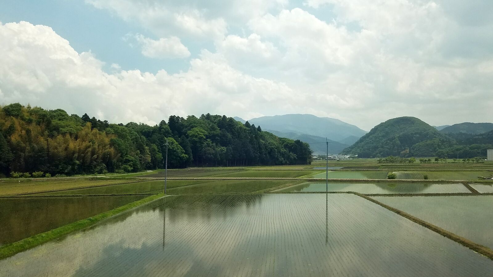 Samsung Galaxy S7 Edge sample photo. Rice, fields, japan photography