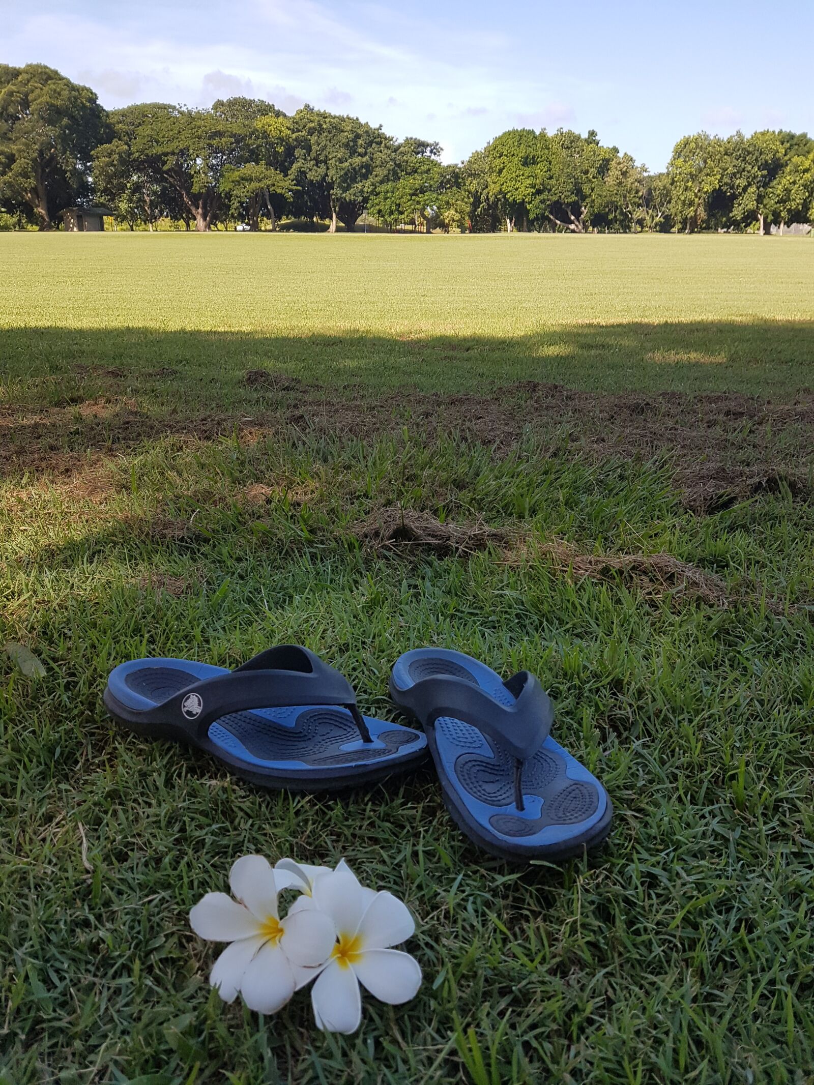 Samsung Galaxy S7 sample photo. Leisure, park, lifestyle photography