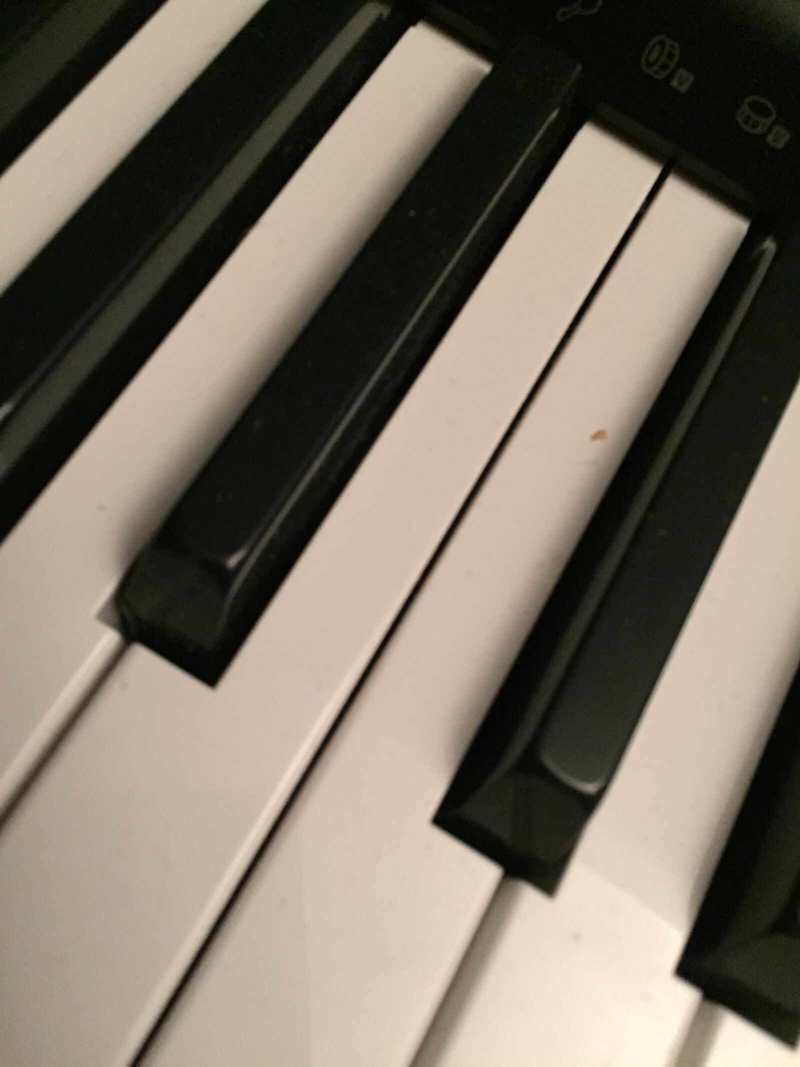 iPhone 6 back camera 4.15mm f/2.2 sample photo. Black, and, white, keyboard photography