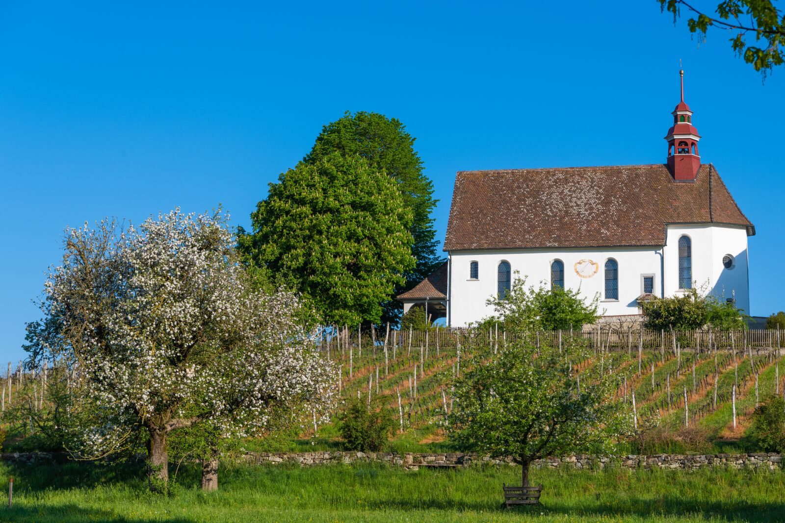 Nikon Z7 sample photo. Chapel, vineyard, fruit tree photography