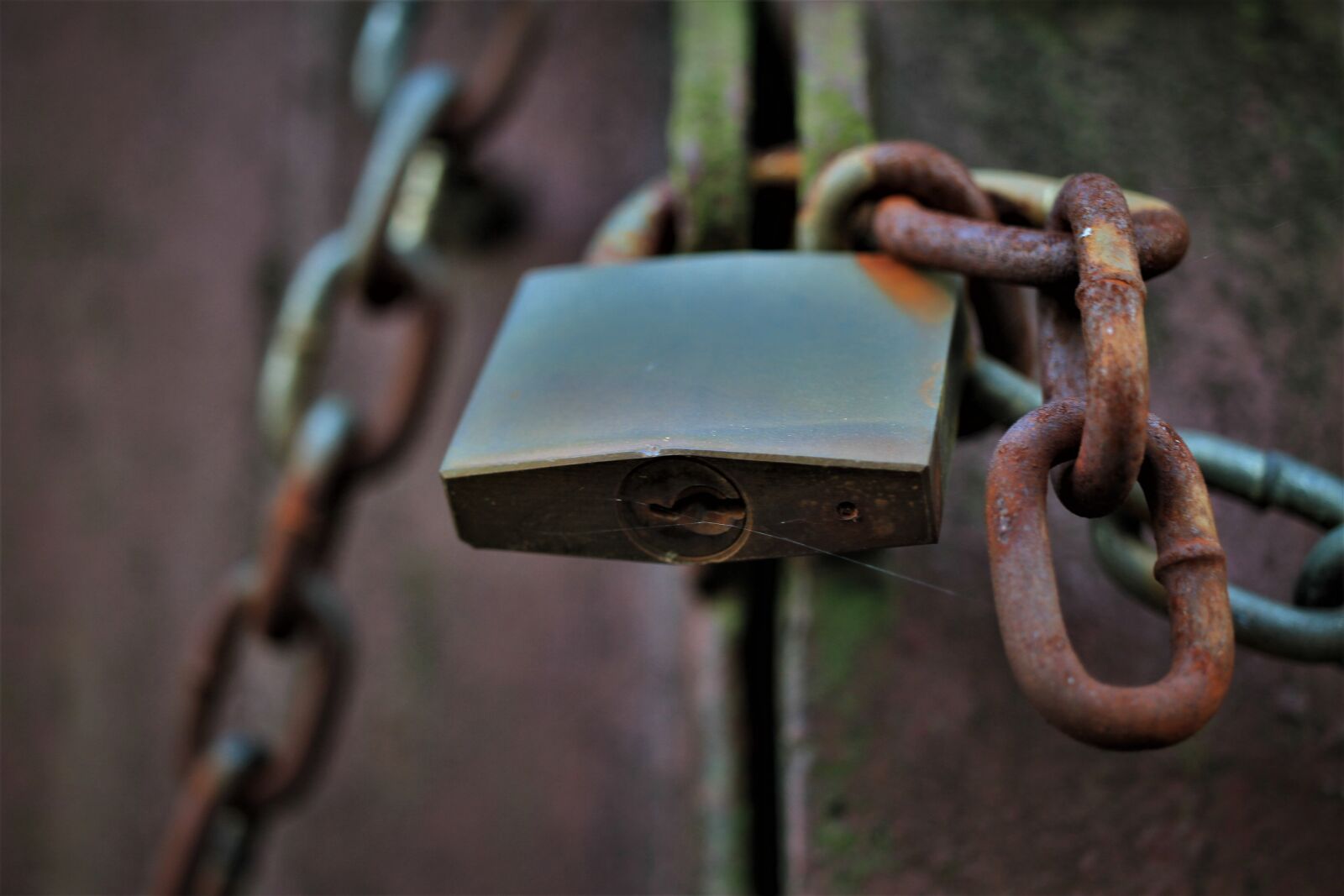 Canon EOS 7D sample photo. Castle, chain, iron chain photography
