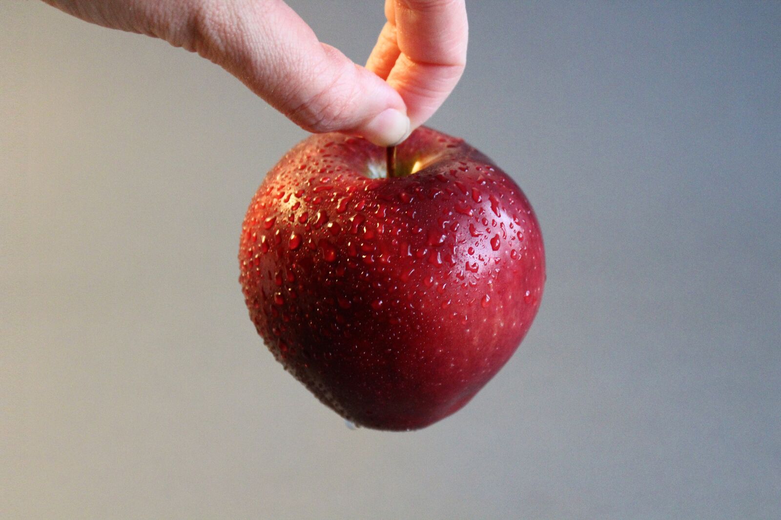 Canon EOS 1300D (EOS Rebel T6 / EOS Kiss X80) sample photo. Apple, fruit, food photography
