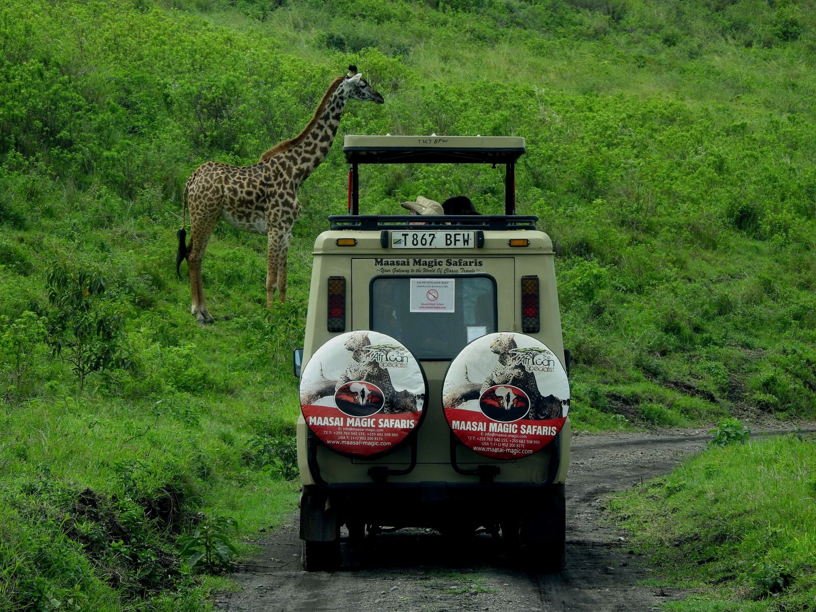 Nikon Coolpix P900 sample photo. Serengeti, tanzania, giraffe photography