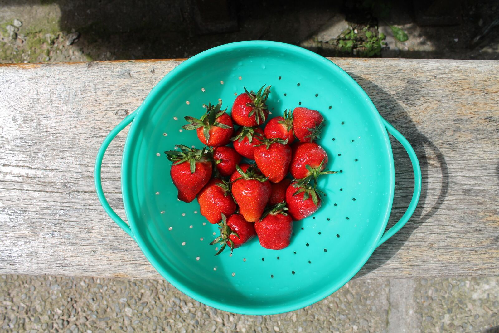 Canon EOS 1100D (EOS Rebel T3 / EOS Kiss X50) sample photo. Strawberry, green bowl, fresh photography