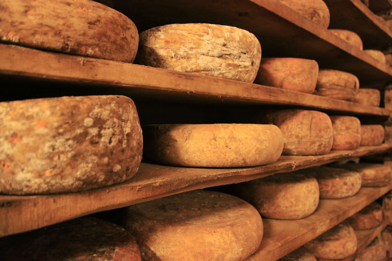 Canon EF 24-105mm F4L IS USM sample photo. Cheese, food, italian, italy photography