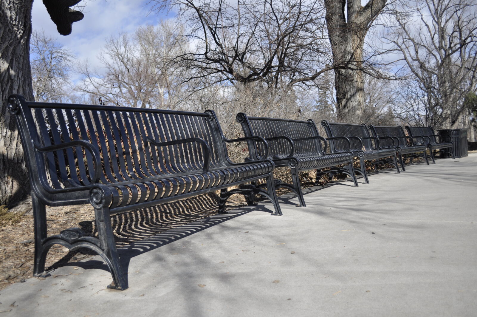 Nikon D5000 sample photo. Black, city, park, park photography
