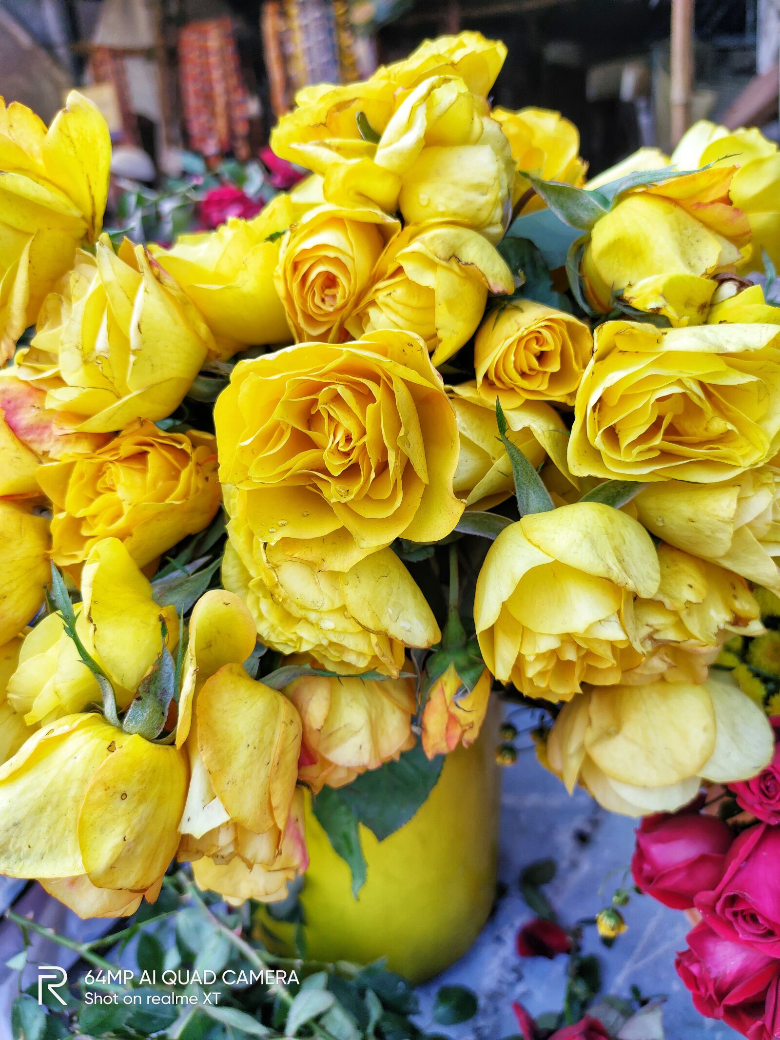 Realme XT sample photo. Yellow rose, roses, mix photography