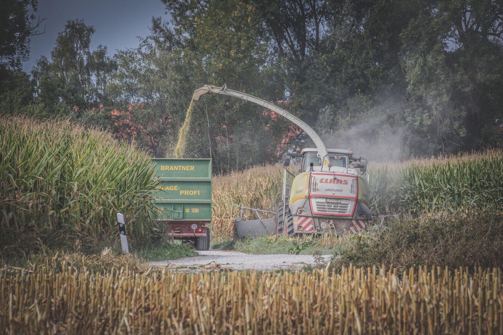 Canon EOS 80D sample photo. Corn harvest, agriculture, harvest photography