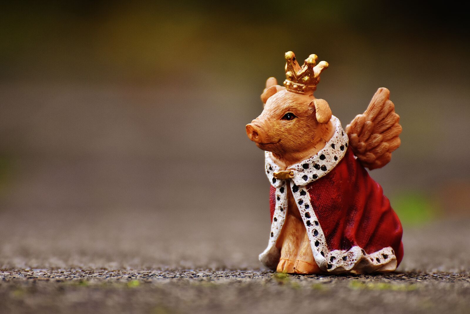 Nikon D7200 sample photo. Lucky pig, guardian angel photography