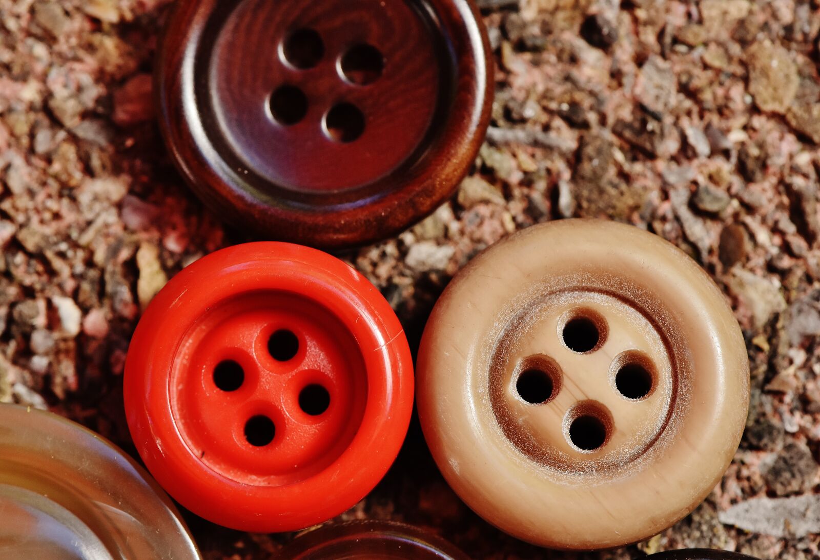 Nikon D7200 sample photo. Buttons, 4 holes, colorful photography