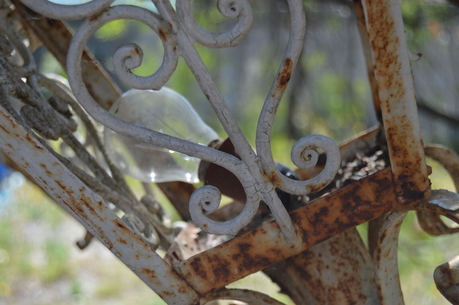 Nikon D3200 sample photo